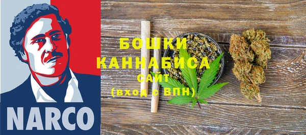 ПСИЛОЦИБИНОВЫЕ ГРИБЫ Белоозёрский