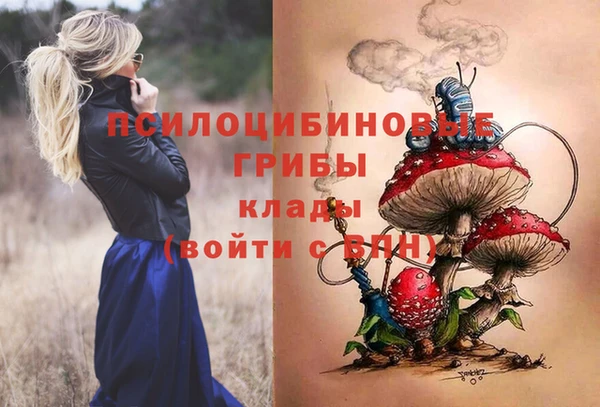 PSILOCYBIN Беломорск