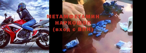 ПСИЛОЦИБИНОВЫЕ ГРИБЫ Белоозёрский
