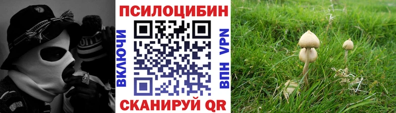 где купить наркоту  Белозерск  Галлюциногенные грибы ЛСД 