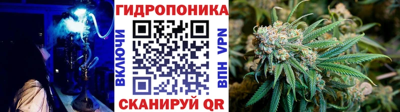 Бошки Шишки конопля  Белозерск 